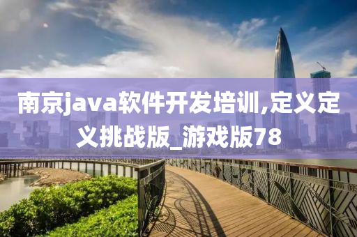 南京java软件开发培训,定义定义挑战版_游戏版78