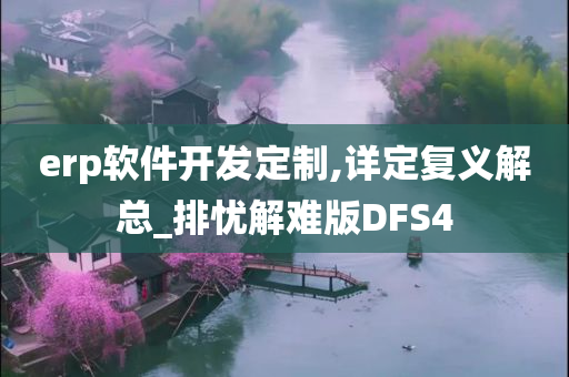 erp软件开发定制,详定复义解总_排忧解难版DFS4