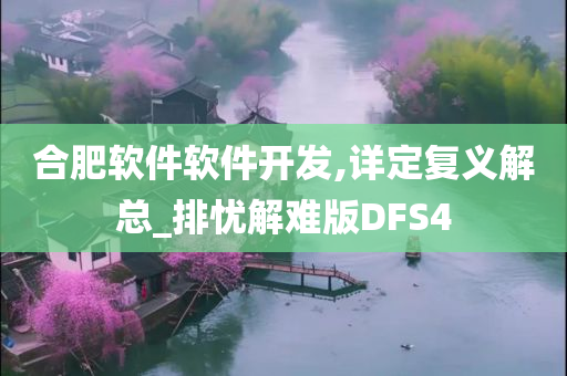 合肥软件软件开发,详定复义解总_排忧解难版DFS4