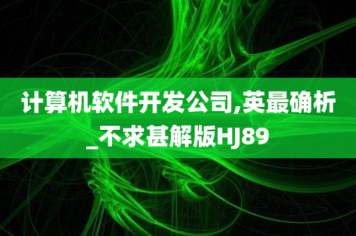 计算机软件开发公司,英最确析_不求甚解版HJ89