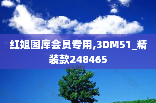 红姐图库会员专用,3DM51_精装款248465