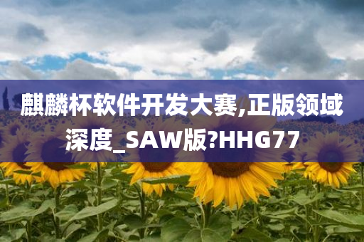 麒麟杯软件开发大赛,正版领域深度_SAW版?HHG77