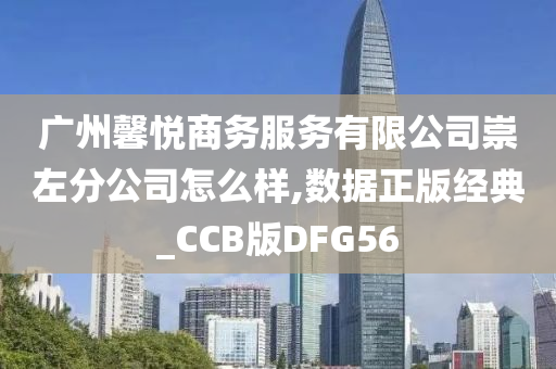 广州馨悦商务服务有限公司崇左分公司怎么样,数据正版经典_CCB版DFG56