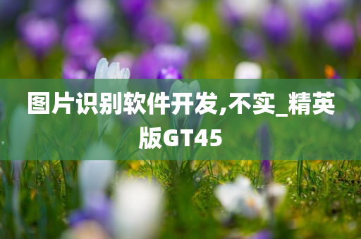 图片识别软件开发,不实_精英版GT45