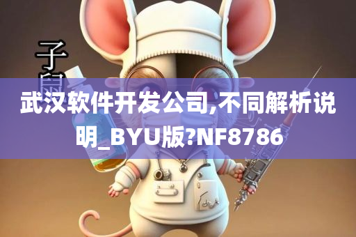 武汉软件开发公司,不同解析说明_BYU版?NF8786