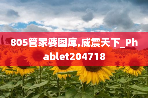 805管家婆图库,威震天下_Phablet204718