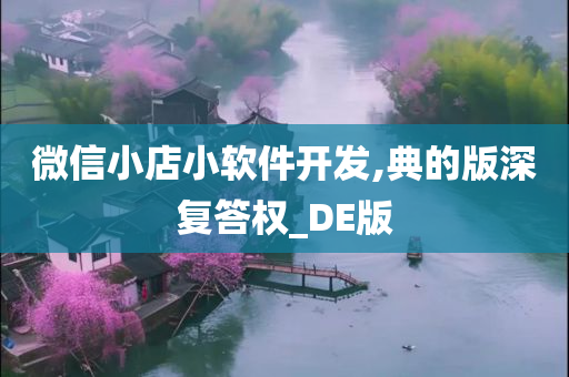 微信小店小软件开发,典的版深复答权_DE版