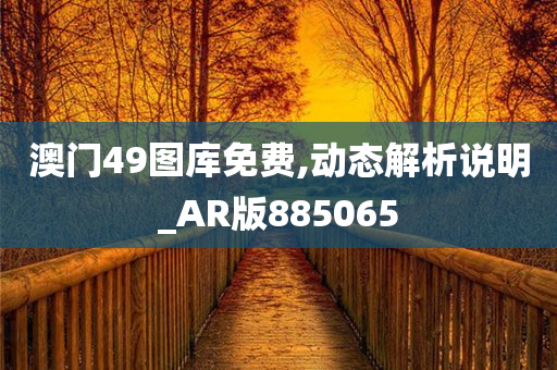 澳门49图库免费,动态解析说明_AR版885065