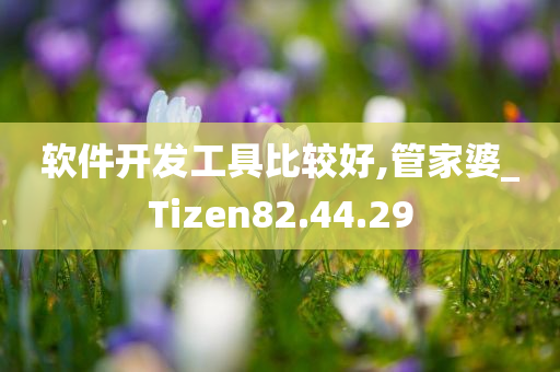 软件开发工具比较好,管家婆_Tizen82.44.29