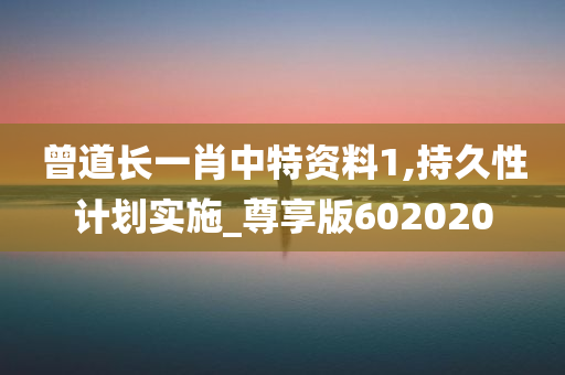 曾道长一肖中特资料1,持久性计划实施_尊享版602020