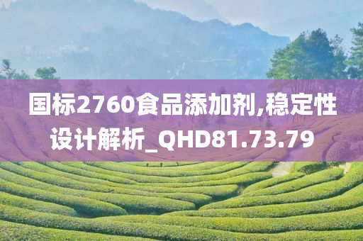 国标2760食品添加剂,稳定性设计解析_QHD81.73.79