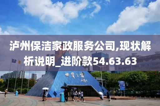 泸州保洁家政服务公司,现状解析说明_进阶款54.63.63