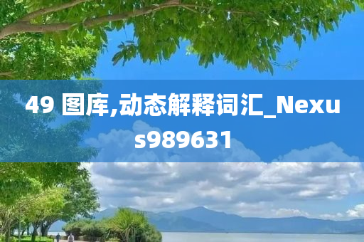 49 图库,动态解释词汇_Nexus989631