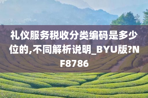 礼仪服务税收分类编码是多少位的,不同解析说明_BYU版?NF8786