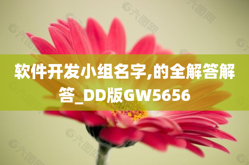 软件开发小组名字,的全解答解答_DD版GW5656