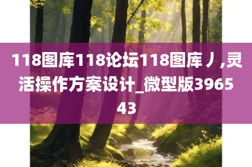 118图库118论坛118图库丿,灵活操作方案设计_微型版396543