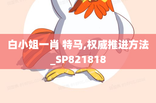 白小姐一肖 特马,权威推进方法_SP821818