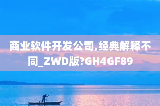 商业软件开发公司,经典解释不同_ZWD版?GH4GF89