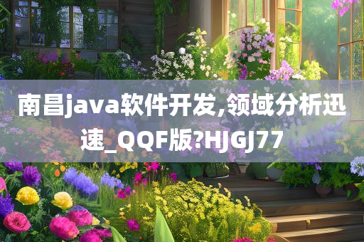 南昌java软件开发,领域分析迅速_QQF版?HJGJ77