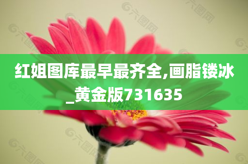 红姐图库最早最齐全,画脂镂冰_黄金版731635