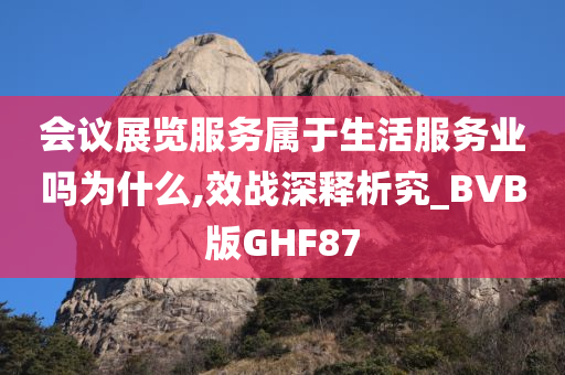 会议展览服务属于生活服务业吗为什么,效战深释析究_BVB版GHF87