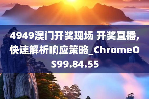 4949澳门开奖现场 开奖直播,快速解析响应策略_ChromeOS99.84.55