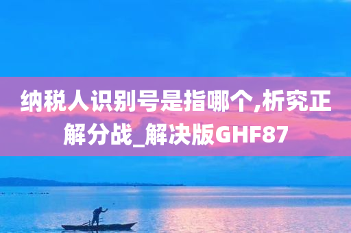 纳税人识别号是指哪个,析究正解分战_解决版GHF87