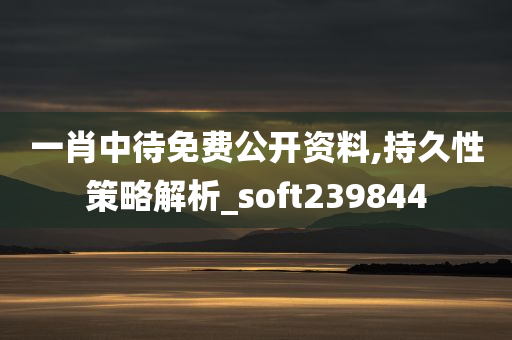 一肖中待免费公开资料,持久性策略解析_soft239844