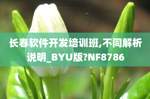 长春软件开发培训班,不同解析说明_BYU版?NF8786