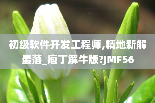 初级软件开发工程师,精地新解最落_庖丁解牛版?JMF56