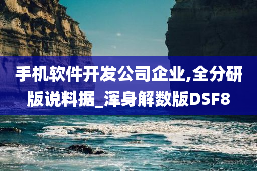 手机软件开发公司企业,全分研版说料据_浑身解数版DSF8