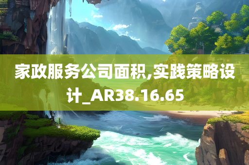 家政服务公司面积,实践策略设计_AR38.16.65