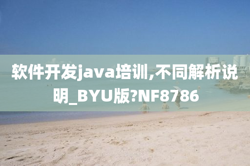 软件开发java培训,不同解析说明_BYU版?NF8786