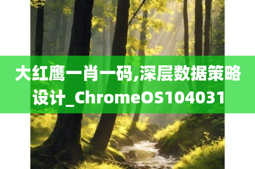 大红鹰一肖一码,深层数据策略设计_ChromeOS104031