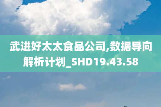 武进好太太食品公司,数据导向解析计划_SHD19.43.58