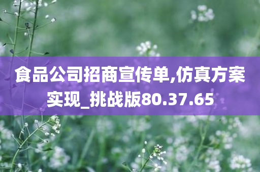 食品公司招商宣传单,仿真方案实现_挑战版80.37.65