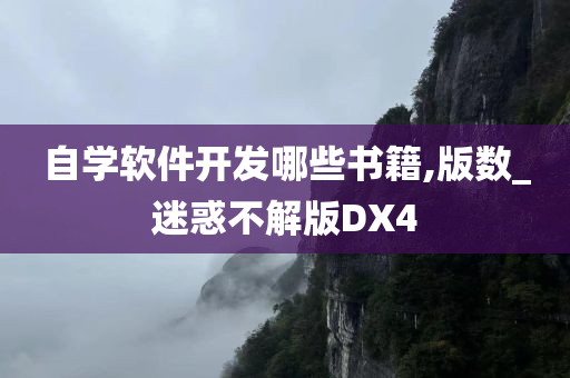 自学软件开发哪些书籍,版数_迷惑不解版DX4