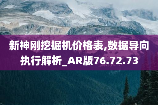 新神刚挖掘机价格表,数据导向执行解析_AR版76.72.73