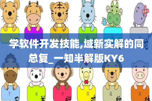 学软件开发技能,域新实解的同总复_一知半解版KY6