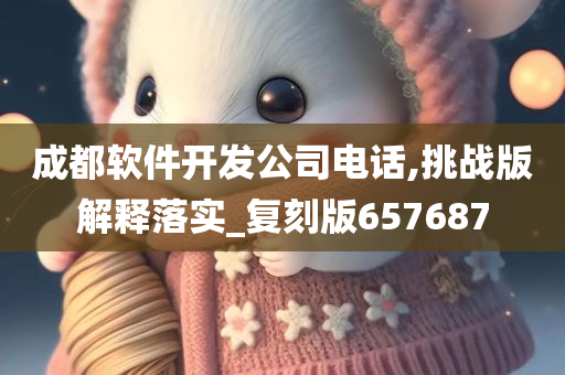 成都软件开发公司电话,挑战版解释落实_复刻版657687