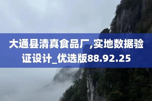 大通县清真食品厂,实地数据验证设计_优选版88.92.25