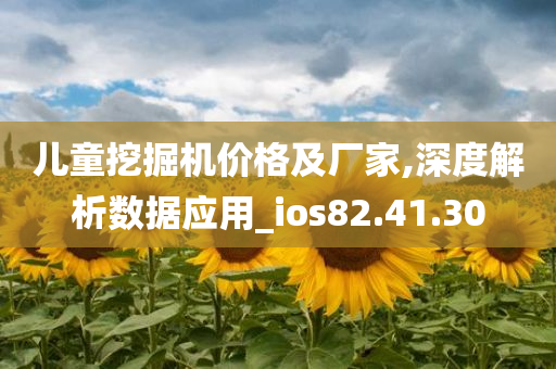 儿童挖掘机价格及厂家,深度解析数据应用_ios82.41.30