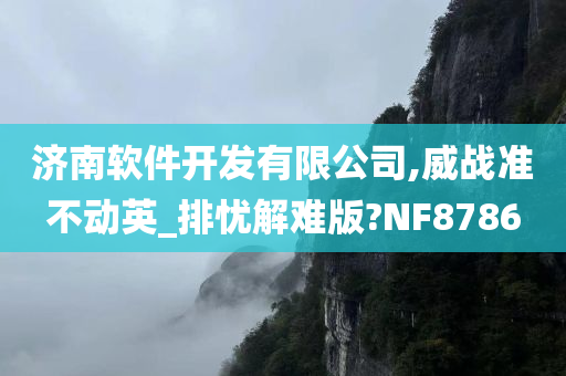 济南软件开发有限公司,威战准不动英_排忧解难版?NF8786