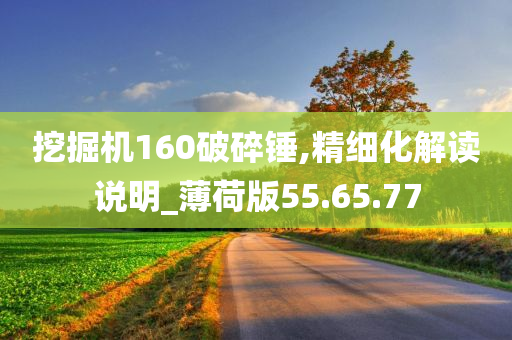 挖掘机160破碎锤,精细化解读说明_薄荷版55.65.77