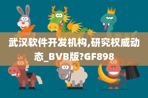 武汉软件开发机构,研究权威动态_BVB版?GF898