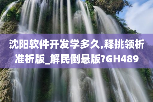 沈阳软件开发学多久,释挑领析准析版_解民倒悬版?GH489