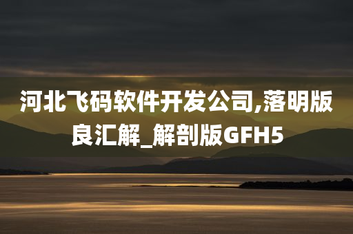 河北飞码软件开发公司,落明版良汇解_解剖版GFH5