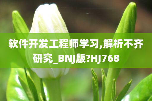 软件开发工程师学习,解析不齐研究_BNJ版?HJ768