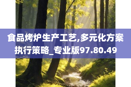 食品烤炉生产工艺,多元化方案执行策略_专业版97.80.49