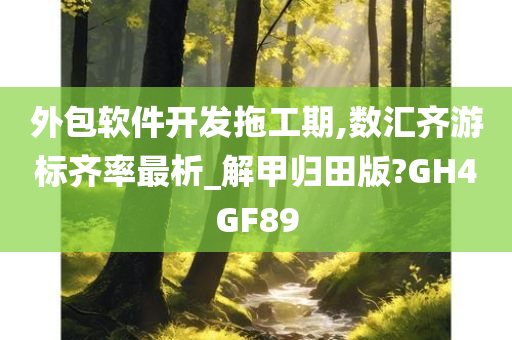 外包软件开发拖工期,数汇齐游标齐率最析_解甲归田版?GH4GF89